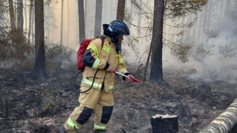 В Марий Эл продолжают тушить лесной пожар в лесах к югу от Йошкар-Олы