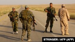 Вооруженные силы сирийского правительства охраняют дорогу в районе Саба Бияр, 10 мая, 2017 года