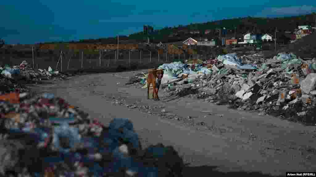 Prema važećim zakonima, svako ko bude uhvaćen u bacanju smeća kažnjava se novčanom kaznom.