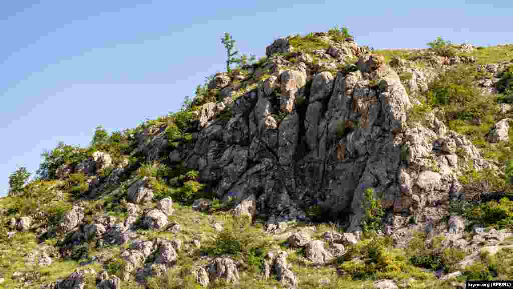 На краю невеликої ущелини біля західного відрогу Тирке