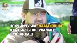 Нохчийчуьра зуламхой бахийтина Украине тIамтIе