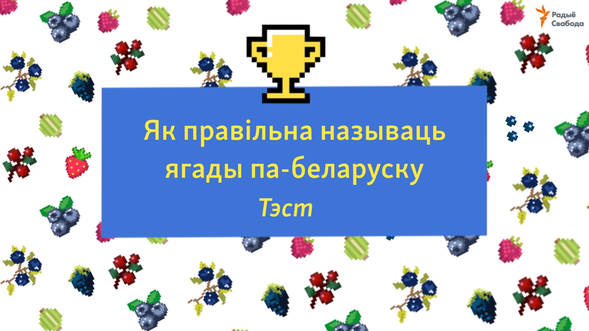 Сустракайма ягадны сэзон — правільна называйма ягады!