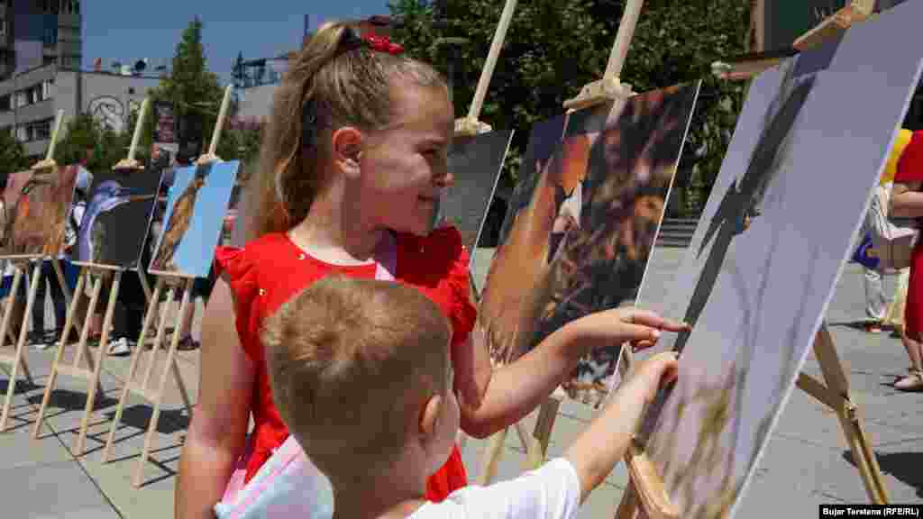 Këta dy fëmijë shikojnë disa fotografi të shpezëve të ekspozuara në sheshet e Prishtinës.&nbsp;