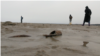 Обское море (видео)