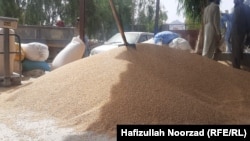 بهای آرد گندم در افغانستان به طور بی سابقه یی افزایش یافته است. 