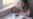 Mystery Swirls Around Boston Bombing Suspect's Trip To Daghestan