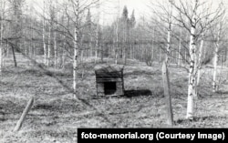 O cușcă pentru câinii de pază din lagărul unde erau ținuți prizonierii care munceau la proiectata cale ferată transpolară