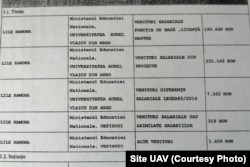 Extras din Declarația de venituri a Ramonei Lile, rector UAV Arad