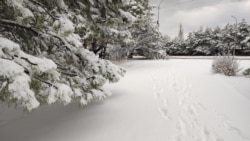 Снігопад у Севастополі. Архівне фото