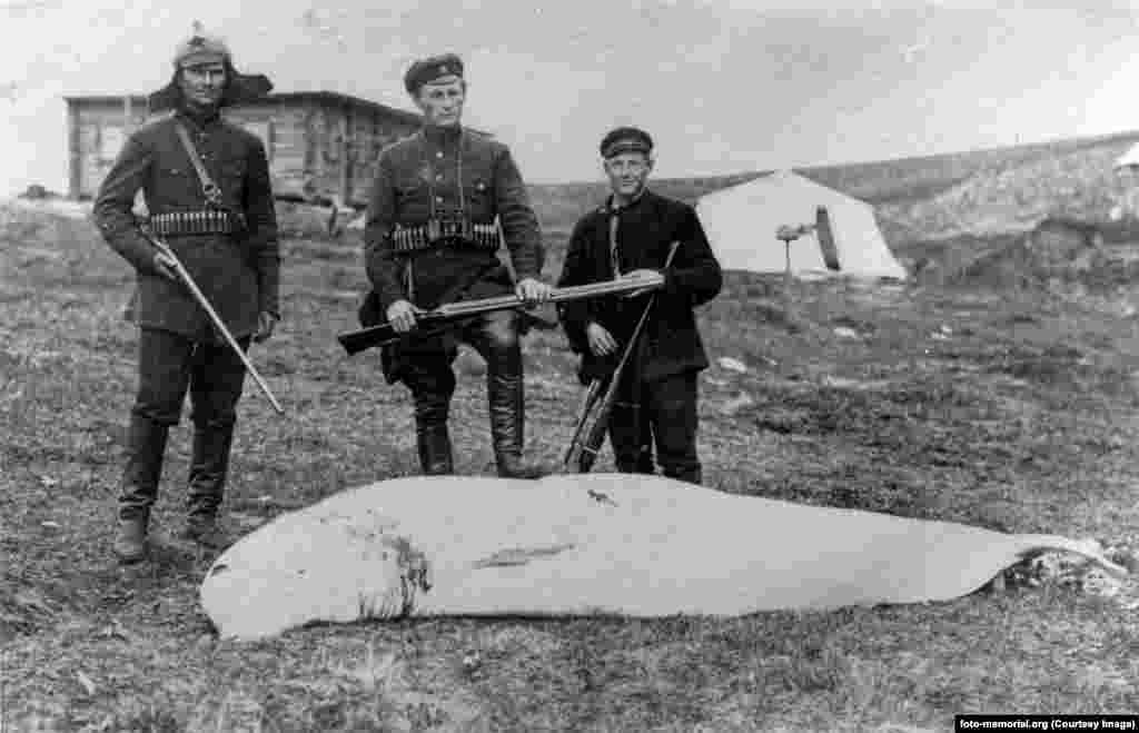 Советска полиција со кит застрелан од островот Вајгач во 1930 година. Таа година беше формиран работен логор на островот во Арктичкиот Океан.
