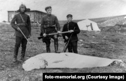 Съветски милиционери позират с кит белуга, който се застреляли до остров Вайгач в Арктическо море през 1930 г. Тогава на това място е създаден трудов лагер.