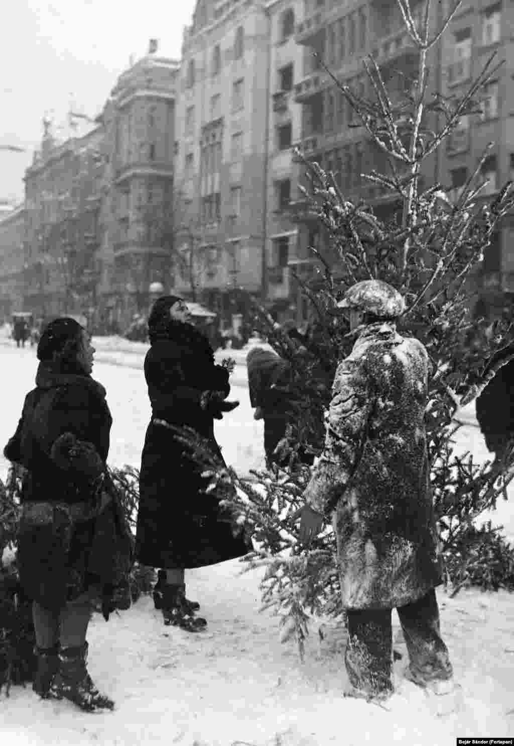 Karácsonyfa-vásárlás után 1936-ban, a Belgrád (Ferenc József) rakparton