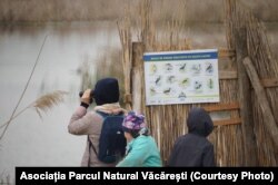 Elevii din București fac ore și observă natura în Parcul Natural Văcărești.