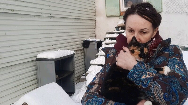 «Не могу их предать». История из России: продала квартиру, чтобы спасти котов