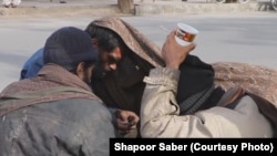 تعدادی از معتادین در ولایت هرات 