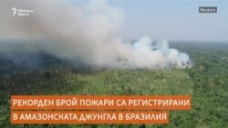 Екозащитници: Амазония гори за бизнес и пари