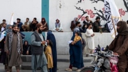 د افغان ښځو او طالب عسکرو عکس - یوې دولتي ادارې سره 
