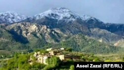 د پکتیا اریوب ځاځۍ سیمه