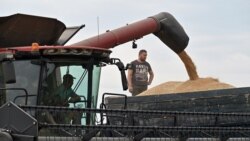 Росія виграє від зупинки зернової угоди? 