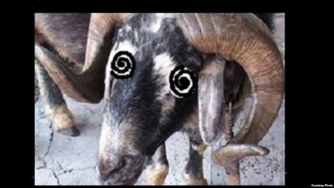 Нағыз секс анамен орыс тілінде