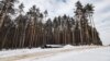 Вырубка леса в Татарстане