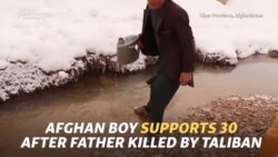 Afghan Boy Supports 30 After Father Killed By Taliban