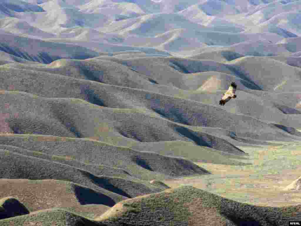 Türkmenistanyň çar tarapyndan #31