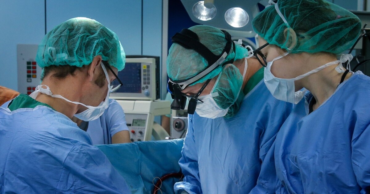 Әдемі түкті жалаңаш әйелдер