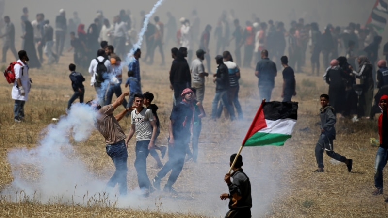 Газа тилкеси менен Израилдин чегинде 50 палестиналык жаракат алды