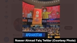 کرسی خالی افغانستان در مجمع عمومی سازمان ملل متحد