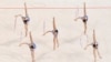 Групавое практыкаваньне японскай каманды па мастацкай гімнастыцы. Ілюстрацыйнае фота. 