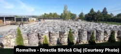 În cazul lemnului de foc gata de utilizat, prețurile practicate și de Direcțiile Silvice, precum cel din Cluj, se apropie de 700 de lei / mc. În cazul lemnului standard, costurile de pregătire pentru foc trebuie suportate de beneficiar.