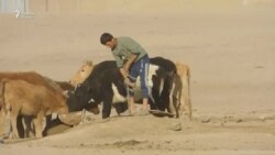 Деҳаи "Иттиҳод" ҳам соҳиби обу барқ шуд