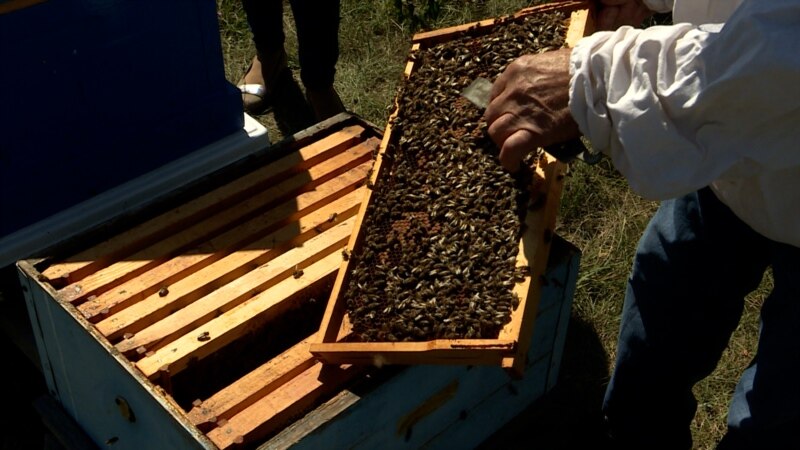 Ќе се бара ли мед повеќе во „медената земја“?