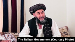 حاجی بشر نورزی چهرهٔ مهم طالبان پس از نزدیک به دو دهه از زندان ایالات متحده امریکا رها شد و امروز دوشنبه (۲۸ سنبله ۱۴۰۱) وارد کابل شد.
