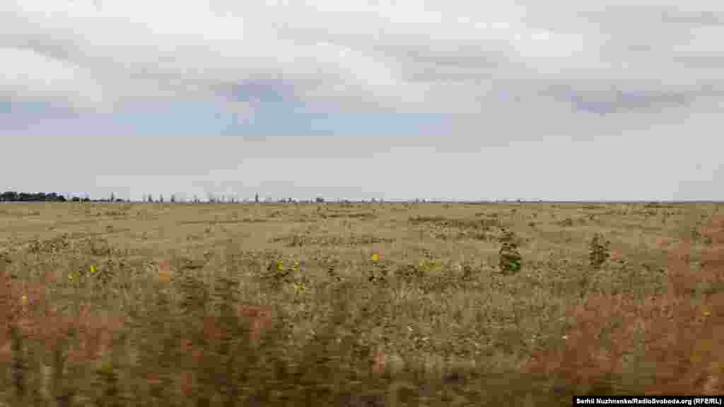 На горизонті видніються незібрані поля пшениці