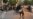Protesters, Police Killed In Iranian Unrest Sparked By Young Woman's Death