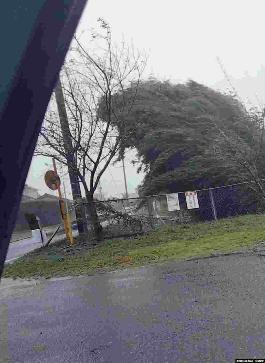 Drvo se savija od vjetra dok tajfun Nanmadol pogađa Tarumizu, prefektura Kagošima, Japan 18. septembra 2022.