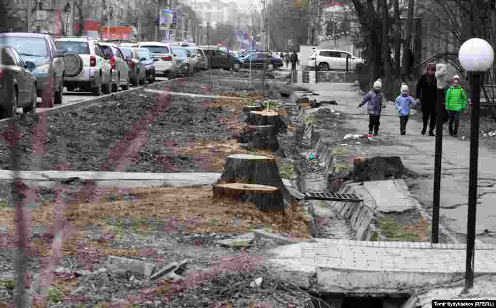 Улица Тыныстанова. «За 25 лет зеленый фонд города сократился в разы! В 1980-е годы на жителя города Фрунзе приходилось 30 квадратных метров зелени при необходимом минимуме в 20 квадратных метров. Сейчас же по оценкам экспертов этот показатель не превышает 5 квадратов. За годы независимости мы не видим ни одной новой зеленой улицы, ни одного нового полноценно озелененного сквера. Город стал не удобен ни для автомобилистов, ни для пешеходов, а лишь удовлетворяет нужды определенного круга коммерчески заинтересованных лиц», - отмечается в тексте петиции.