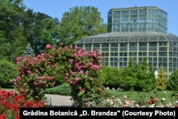 Carol Davila e cel care a dăruit Bucureștiului Grădina Botanică.