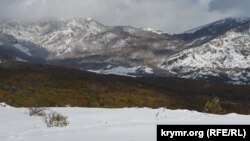 Перший сніг на зеленому листі: на Ангарському перевалі почалася зима