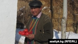 Моңолбек Султанбаев, Нарында помидор өстүргөн дыйкан. 20-февраль, 2013-жыл