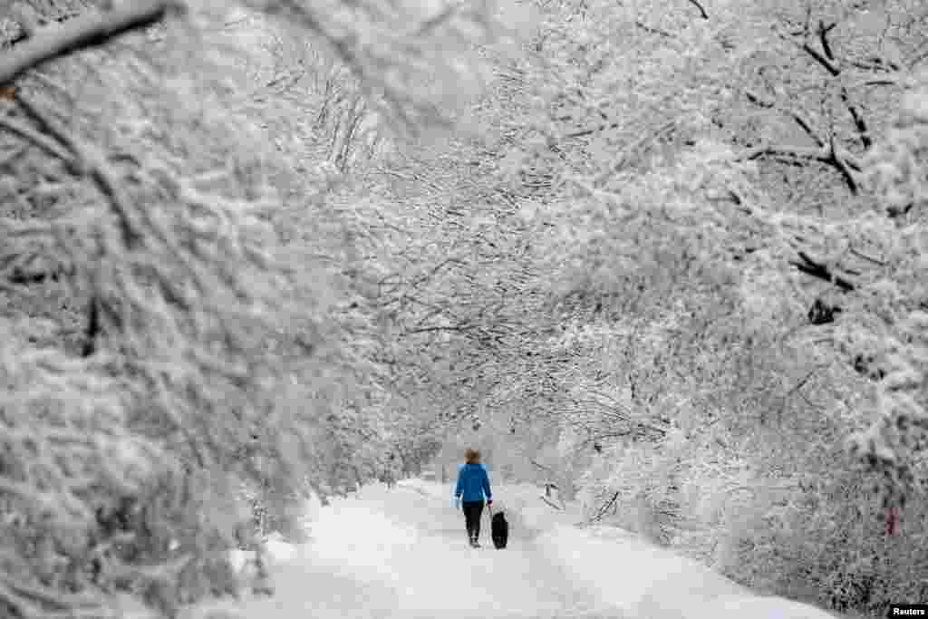 Rideau kanalynyň gyrasynda, gar basan ýodada itini gezdirýän aýal. Ottawa, Ontario, Kanada. (Reuters/Chris Wattie)