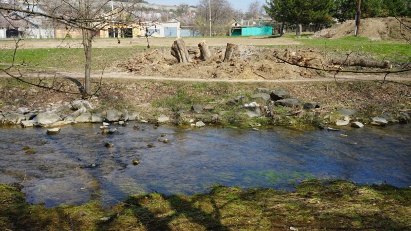 Dört yıl içinde Qırımda 100 biñge yaqın terekke balta uruldı – ekolog