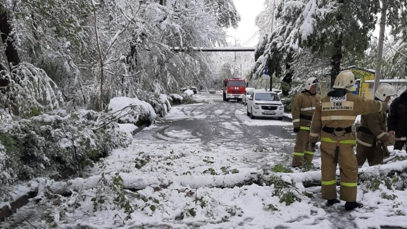 Тысячи домов в Шымкенте остались без света из-за снегопада
