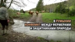 Медведь Артур, принц и румынские фермеры