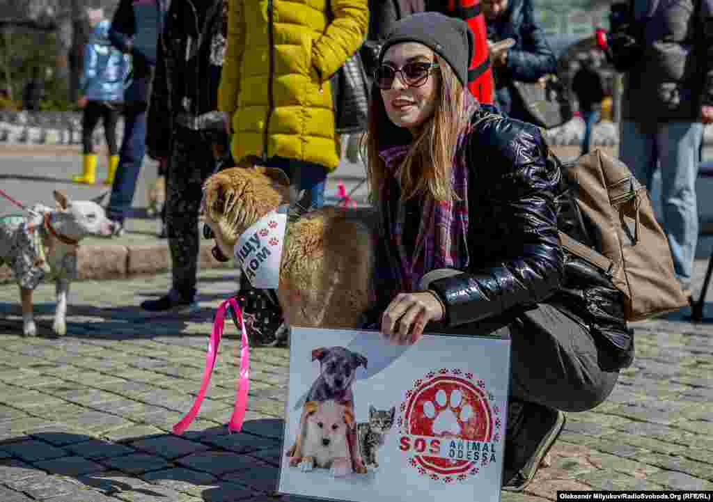 &laquo;Animal SOS Одесса&raquo; &ndash; одна из волонтерских групп помощи бездомным животным.