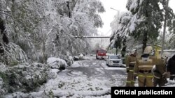 Төтенше жағдай қызметінің мамандары жолды құлаған ағаштардан аршып жатыр. 9 сәуір 2020 жыл.