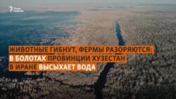 Месопотамские болота умирают