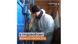 Жизнь мастера "коровьего маникюра" в глухой красноярской деревне